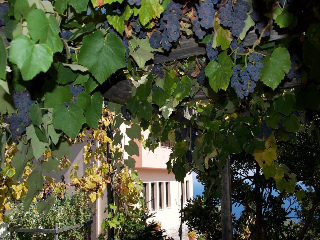 Villa Aglaini Áyios Dhimítrios Kültér fotó