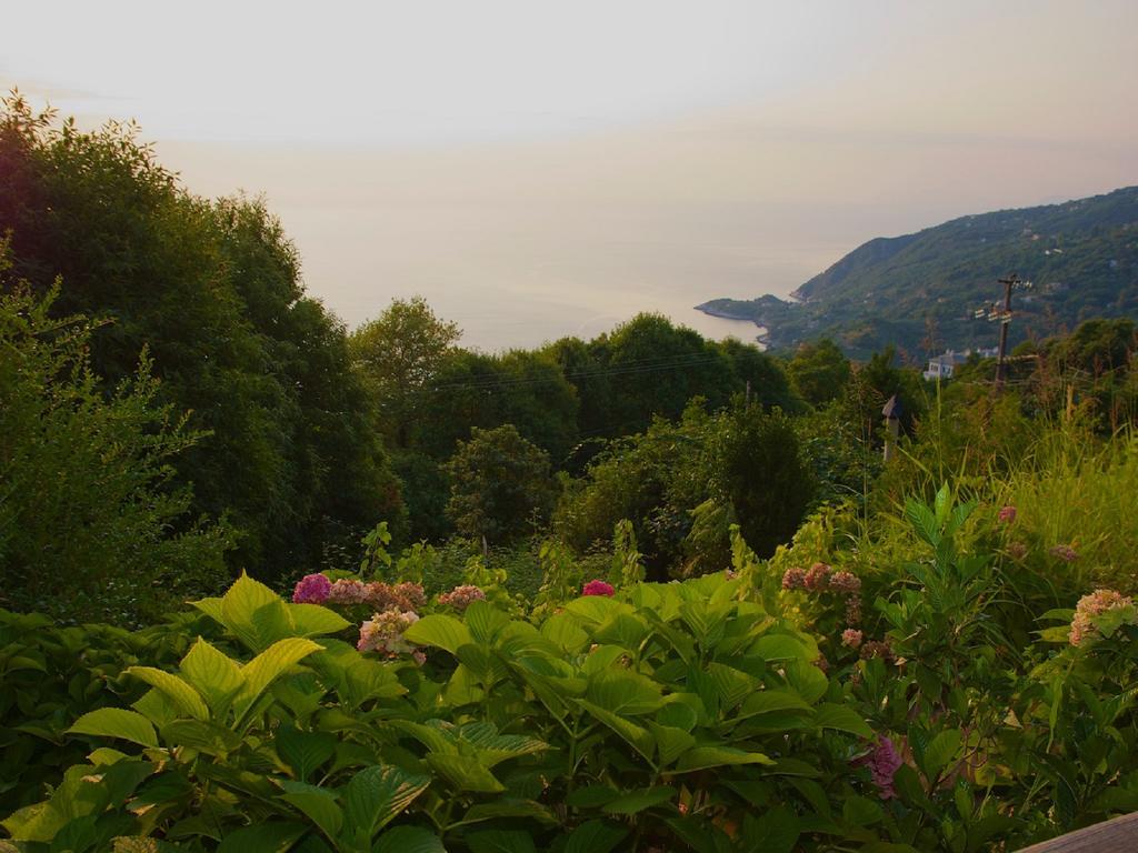 Villa Aglaini Áyios Dhimítrios Kültér fotó
